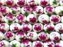 Porcelain 14mm Cyclamen Floral Decal Beads